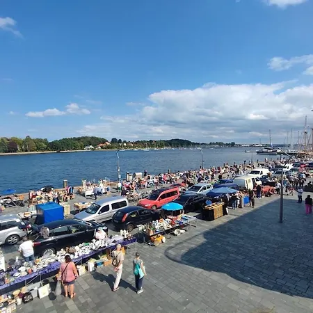 Seestern - [#121120] Eckernförde