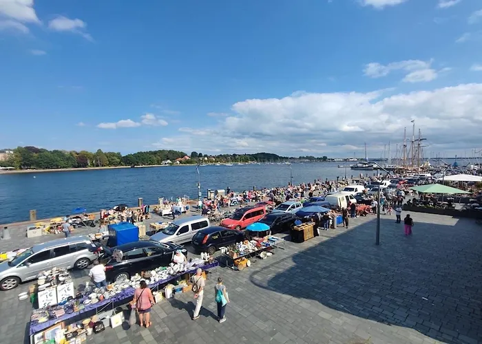 Seestern Eckernförde